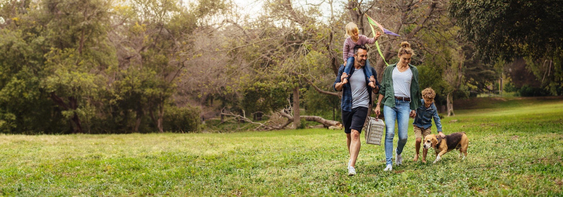 Lifetime Pet Insurance